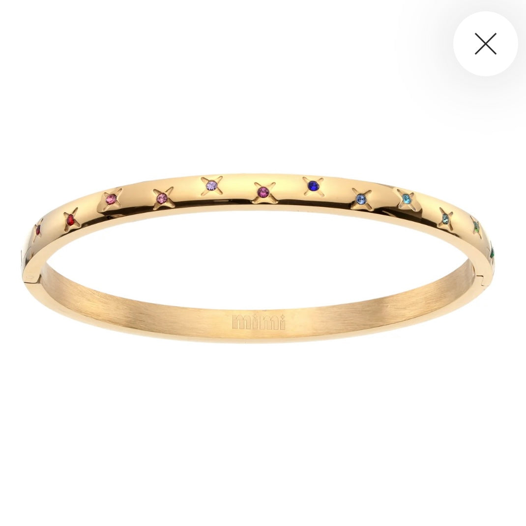 Bijoux De Mimi ‘Amelia Rainbow Bangle’ ⭐️